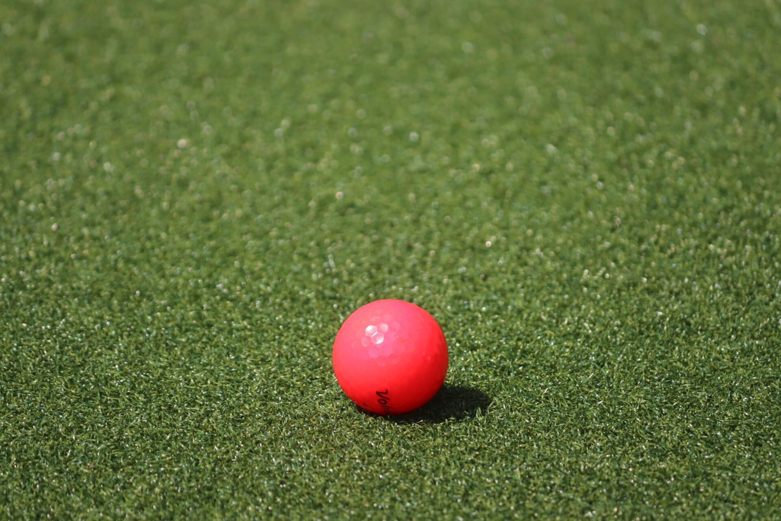 golf ball in focus as it sits on top of a lush putting green turf